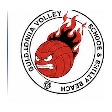 Logo Guidonia Volley