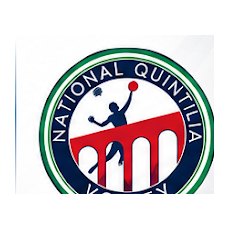 Logo National Quintilia Volley